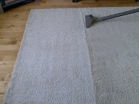 Buckland Carpet and Fabric Care 352306 Image 2